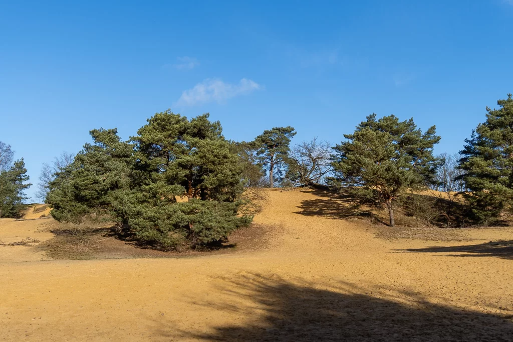 De Oudsberg in het Nationaal Park Hoge Kempen