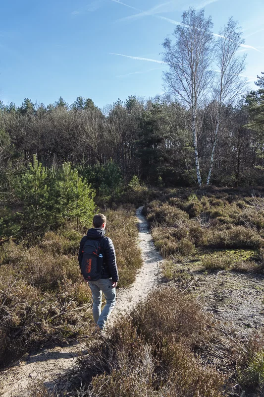 Wandelen door de heide in Thor Park Genk