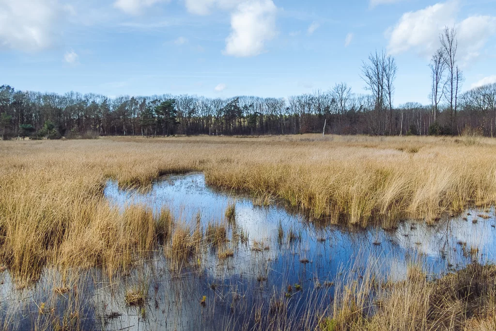 Het Turfven in het Nationaal Park Hoge Kempen