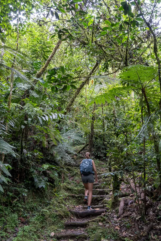 Jasmine on the trail to Cerra Gaital