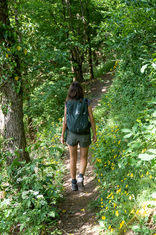 Wandelen door de bissen in Bourscheid