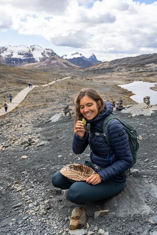 Eating coca leaves at the Pastoruri glacier
