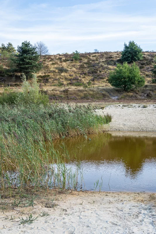 De oude zandgroeve op de Mechelse Heide in het Nationaal Park Hoge Kempen