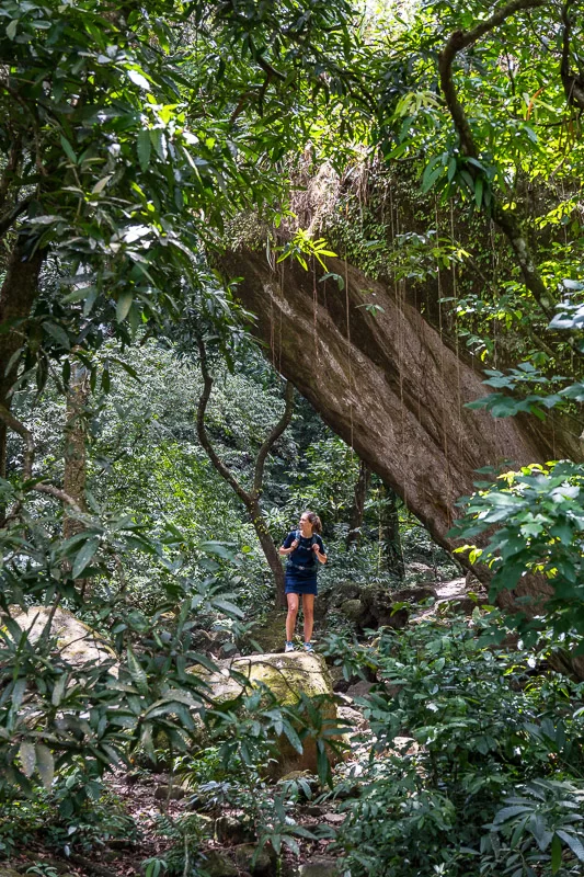 Hiking in the jungle in El Valle de Anton
