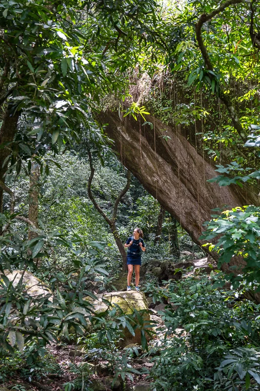 Wandelen in de jungle in El Valle de Anton