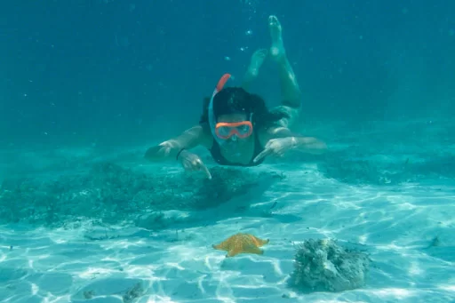 Snorkel tussen zeesterren in Bocas del Toro