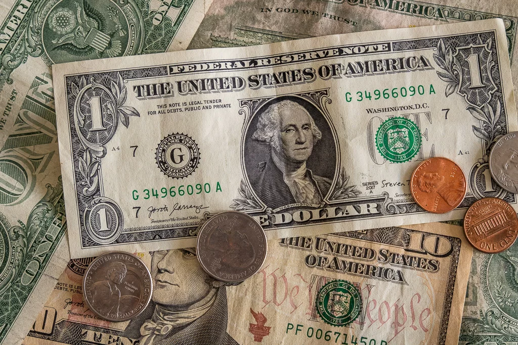 Amerikaanse dollar