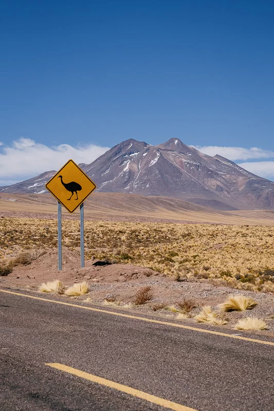 Verkeersbord met een struisvogel in de Atacama woestijn