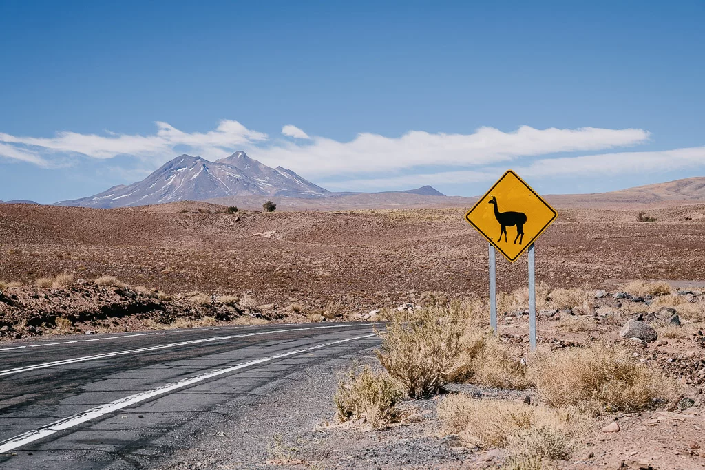 Road sign with a llama on it in the atacama desert