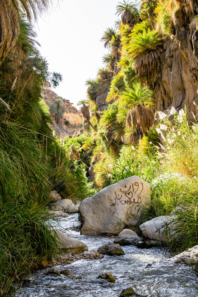 Wadi Bin Hammad