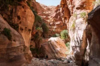 Two-day hike through Wadi Ghuweir and Wadi Dana