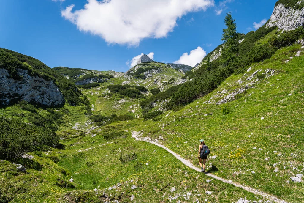 Hilly alpine meadow in Triglav National Park