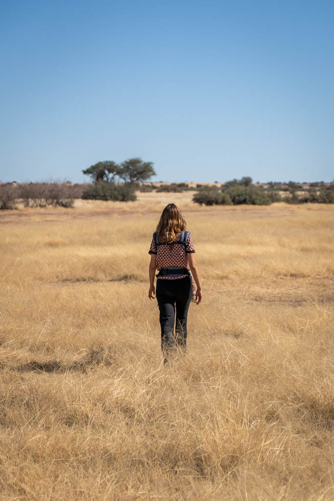 Een wandeling door het dorre gras in de Kalahari woestijn